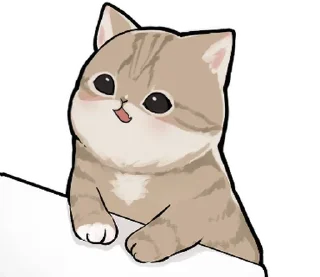 🐱