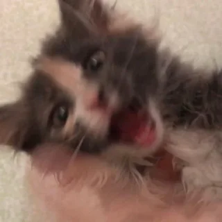 😜