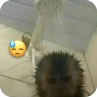 😢