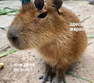 🥵