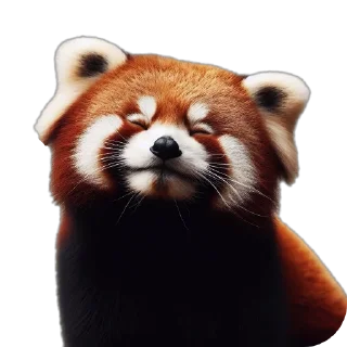 😄