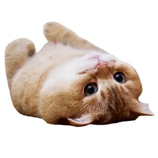 😚
