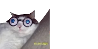 🤓