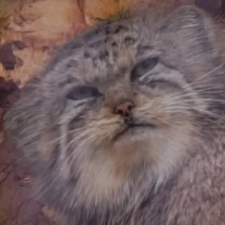 😉