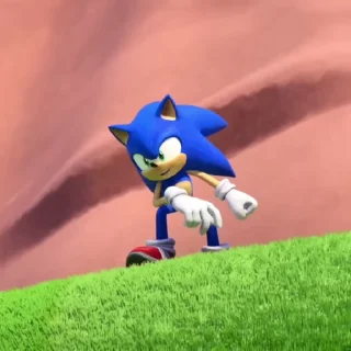 🌟