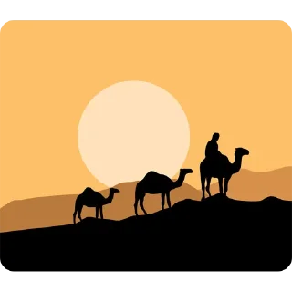 🐪