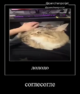 ⚡
