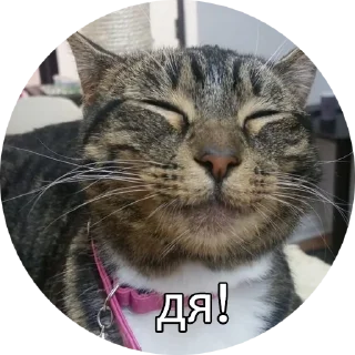 👍