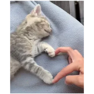 💗