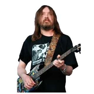 🎸