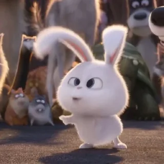 🐰