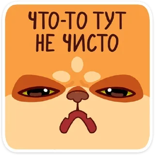 🤨