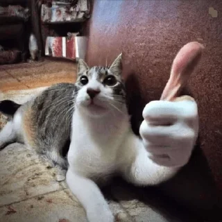 👍