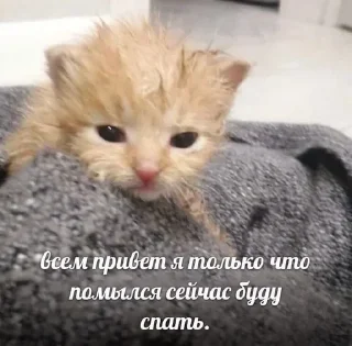 😴