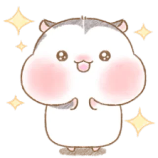 ✨