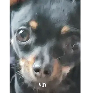 ❔