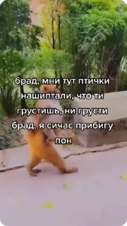 🤗