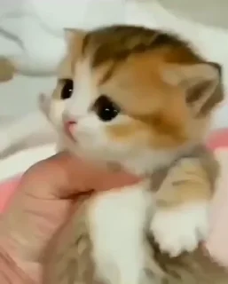 😖