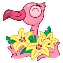 🌼