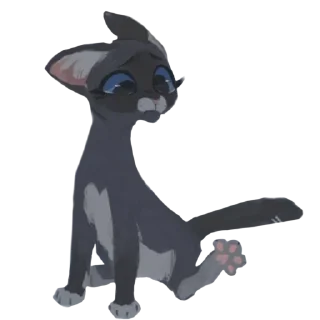 🐱