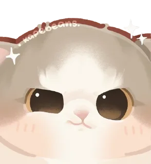 🌟