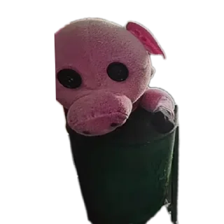 Парасик❤