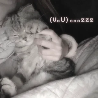 🥺