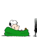 💤