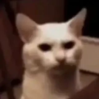 😐