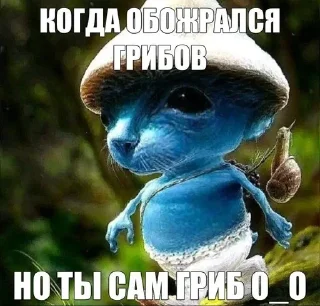 🌟