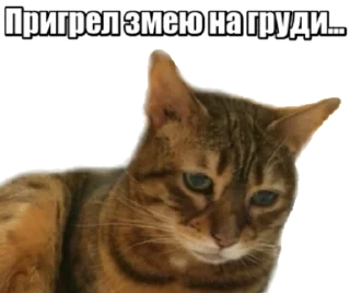 😩