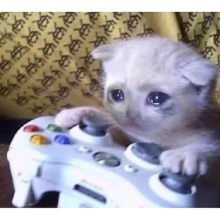 🥺