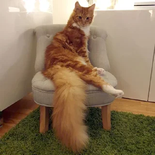 💁‍♀️