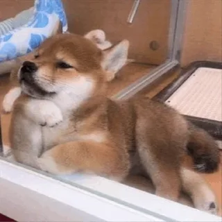 😙