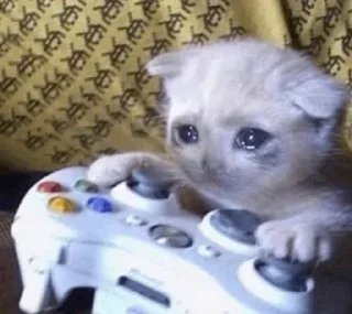 🥺
