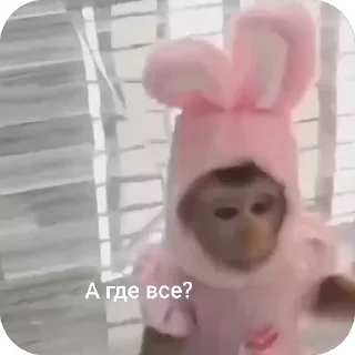 🐵