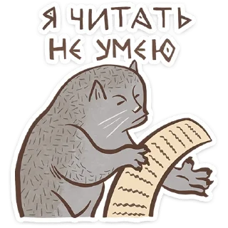 😺