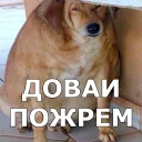 🥔