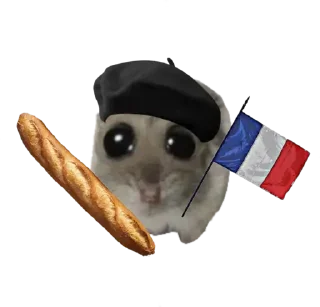 🇫🇷