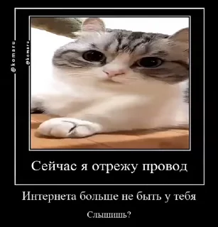 😡