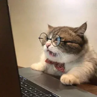 🙊