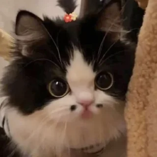 😛