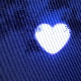 💗
