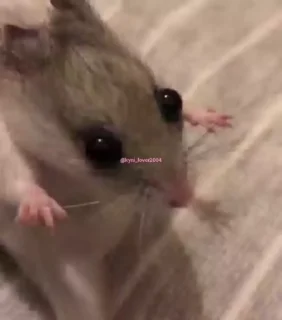 😳