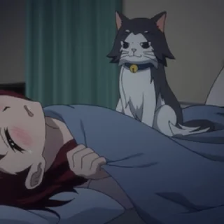 💤