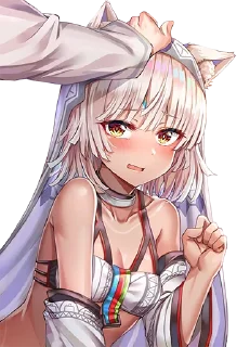 ✋