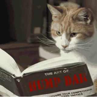 📖
