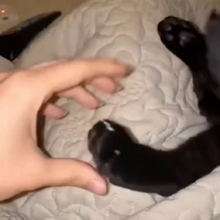 🤩