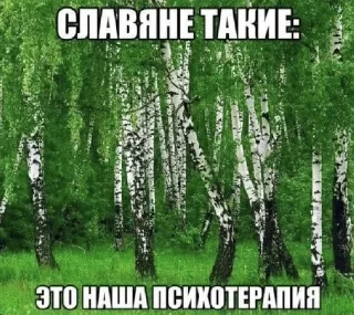 🧂