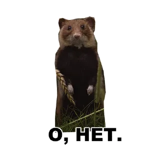 🫣